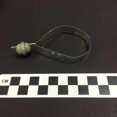 Close Up of Single Closed Seal