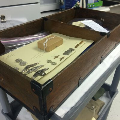 Footlocker tray (1983.14.1b).