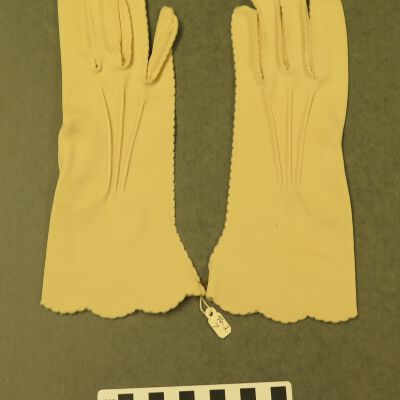 Glove
