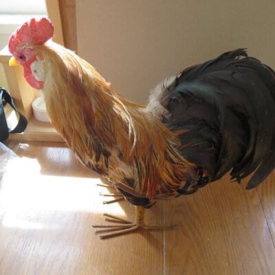 side of fake chicken
