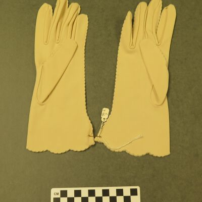 Front of gloves.: Origsize: 3" (w) x 10" (l); Origformat: Artifact