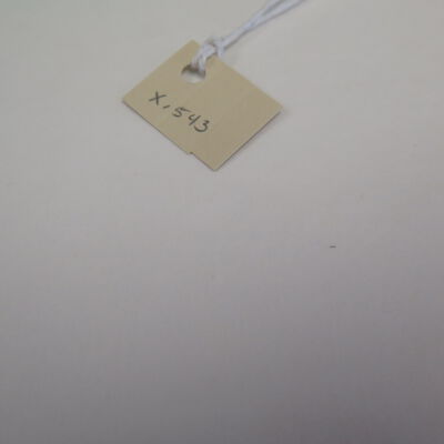 Number attached to fly swatter.: Origsize: 4.25" (w) x 15" (l); Origformat: Artifact