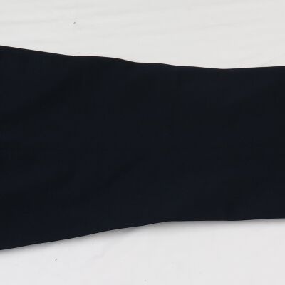 One side of pants.: Origsize: 41.5" (l) x 13" (w); Origformat: Artifact