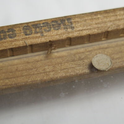 Condition: Pest casings (2018-09-12): Origformat: Artifact