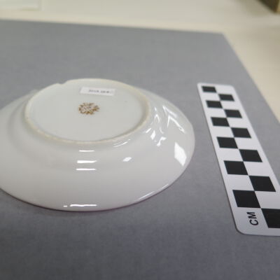 Bottom of plate.: Origformat: Artifact
