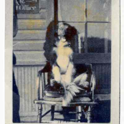 Brownie the dog in front of the Depot
