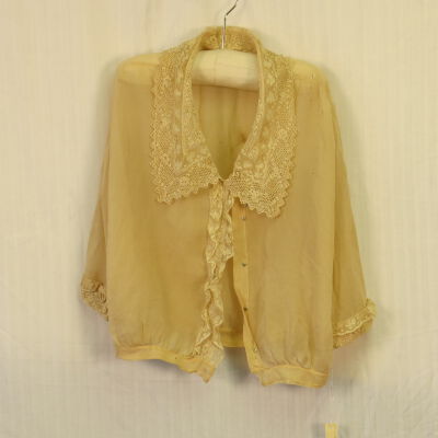 Sheer Shirtwaist