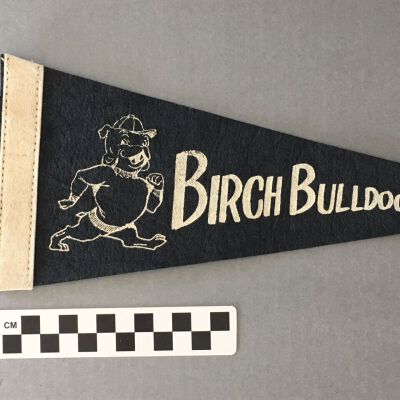 Birch Elementary School Pennant