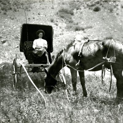 Photograph