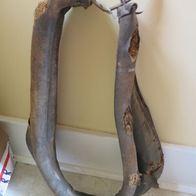 Yoke, Animal