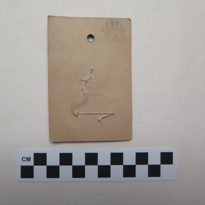 Back of card with buttons.: Origsize: 2.5" (w) x 4" (l); Origformat: Artifact