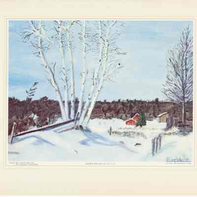 Winter Birches