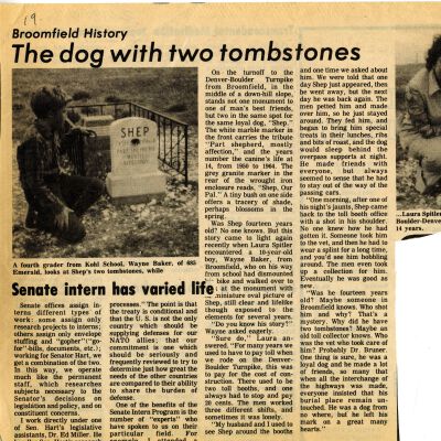The dog with two tombstones