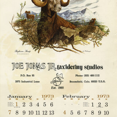 Joe Jonas Jr. Taxidermy Studio calendar