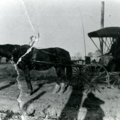 Viola Crook's family horse and buggy at Sheridan House.