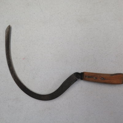 Side of hand sickle: Origsize: 1" (h) x 9" (w) x 18; Origformat: Artifact