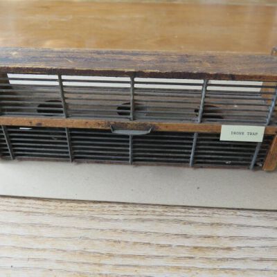 front of drone trap