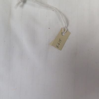 Number on fly swatter.: Origsize: 4.5 (w) x 23" (l); Origformat: Artifact