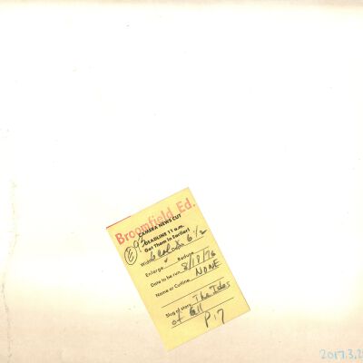 Origformat: Print-Photographic