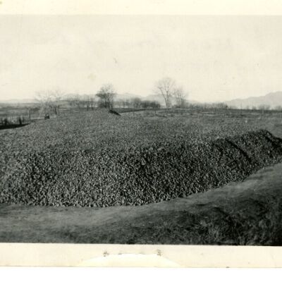 Beet Dump in Broomfield