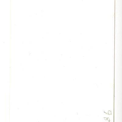 ph.982 Back