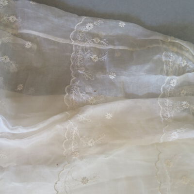 Close up of dermestid casings: Origsize: 15" (w) x 30" (l); Origformat: Artifact
