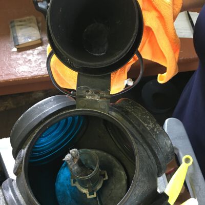 Signal lamp open.: Origsize: 15.5" (h) x 8" (w) x; Origformat: Artifact