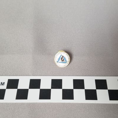 Pin, Promotional