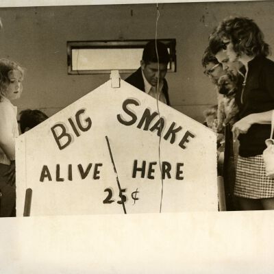People looking into box labeled, "Big Snake Alive Here 25 cents"