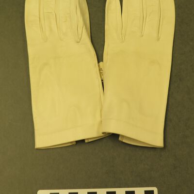 Glove