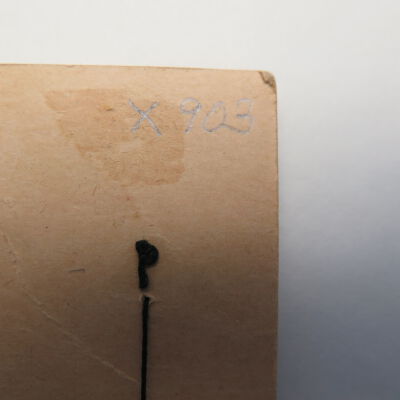 Number on back of card.: Origsize: 3" (w) x 4.5" (l); Origformat: Artifact