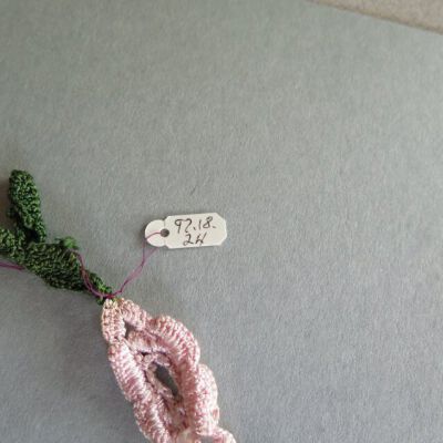 Number of crochet piece: Origsize: 16" (l); Origformat: Artifact
