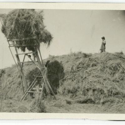 Print, Photographic