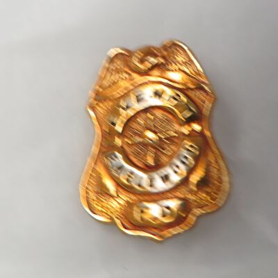 Badge, Fire