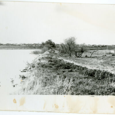North-Looking View of a Denver Utah & Pacific Railroad Grade