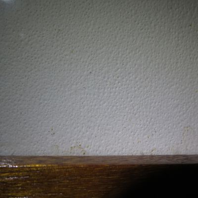 Condition: Little yellow debris under glazing in bottom PL corner (2018-09-12): Origformat: Artifact
