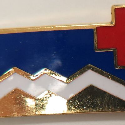 Pin, Insignia