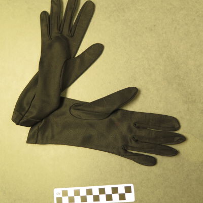 Glove