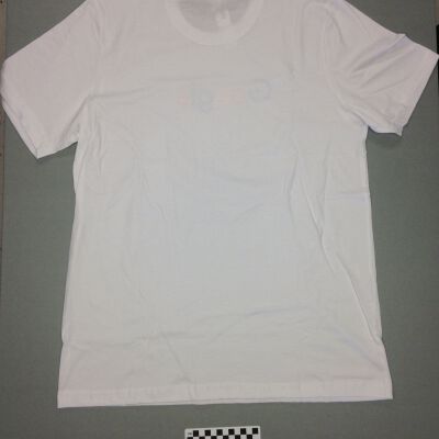 Back of shirt.: Origsize: 32.5" (w) x 30" (l); Origformat: Artifact
