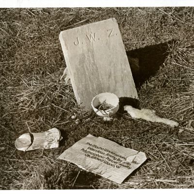 "Littered Grave" Lakeview - Headstone J.W.Z.
