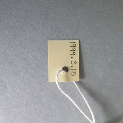 Number of slip: Origsize: 8" (w) x 17" (l); Origformat: Artifact