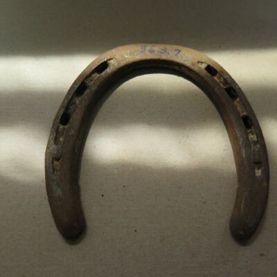 horseshoe bottom