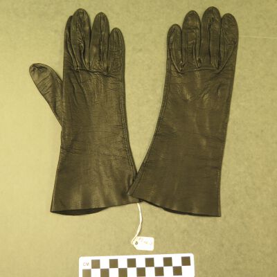Back of gloves.: Origsize: 4" (w) x 11" (l); Origformat: Artifact