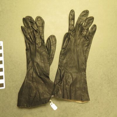 Other side of gloves.: Origsize: 4" (w) x 10" (l); Origformat: Artifact