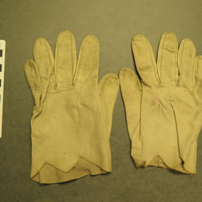 Glove