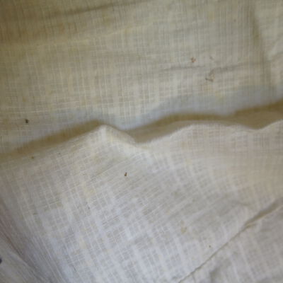 Evidence of dermestids: Origsize: 17"(w) x 21"(w); Origformat: Artifact