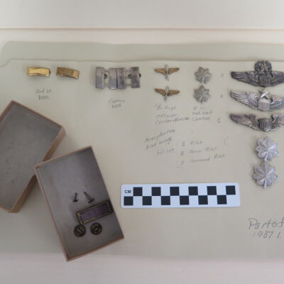 Insignia