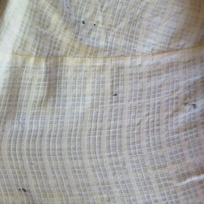 Damage from dermestids: Origsize: 17"(w) x 21"(w); Origformat: Artifact