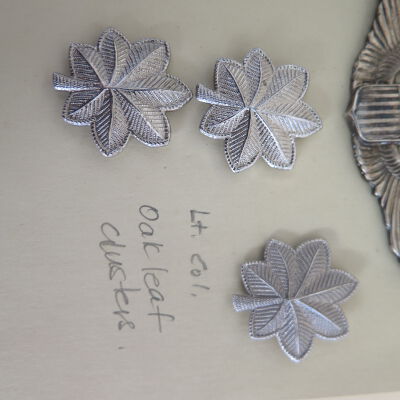Oak leaf cluster: Origformat: Artifact