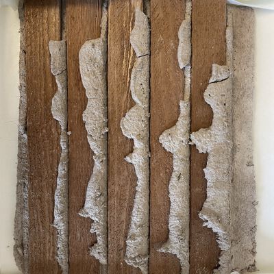 Piece of Honey House Wall